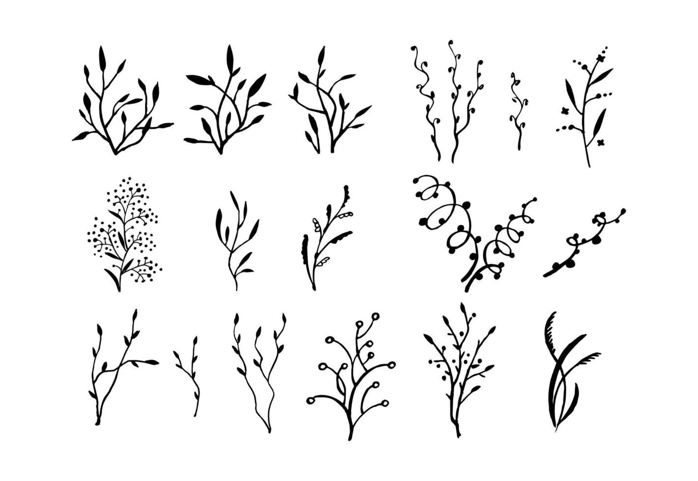 doodle twijgen set. planten takken in een vlakke stijl - isoleren op een witte achtergrond. bloemenelementen voor ontwerp vector