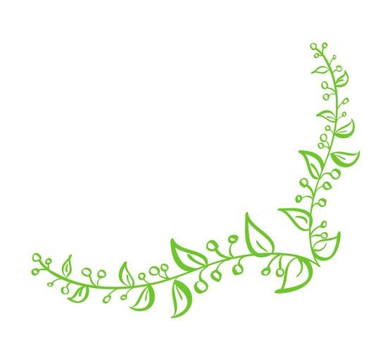 Corner Green Vector Hand getekende kalligrafische lente bloeien ontwerpelement. Bloemenlicht stijldecor voor groetkaart, Web, huwelijk en druk. Geïsoleerd op witte achtergrond Kalligrafie en belettering illustratie