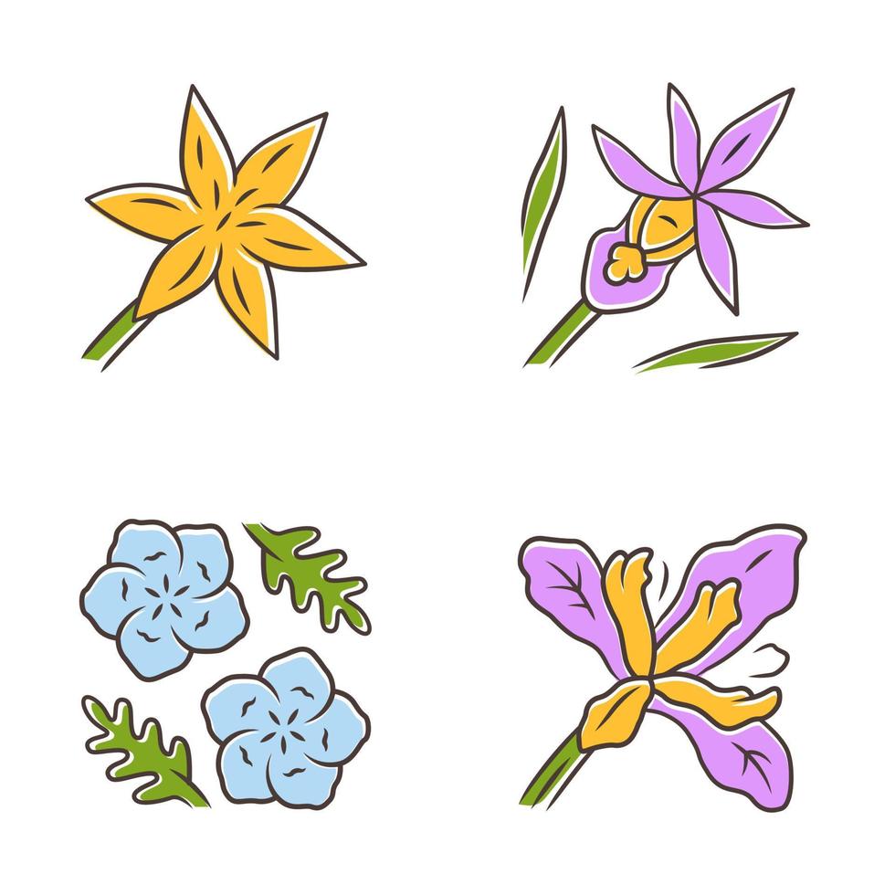 wilde bloemen gekleurde pictogrammen instellen. gewone sterlelie, calypso-orchidee, babyblauwe ogen, douglas iris. bloeiende wilde bloemen, onkruid. lente bloesem. veld, weide planten. geïsoleerde vectorillustraties vector