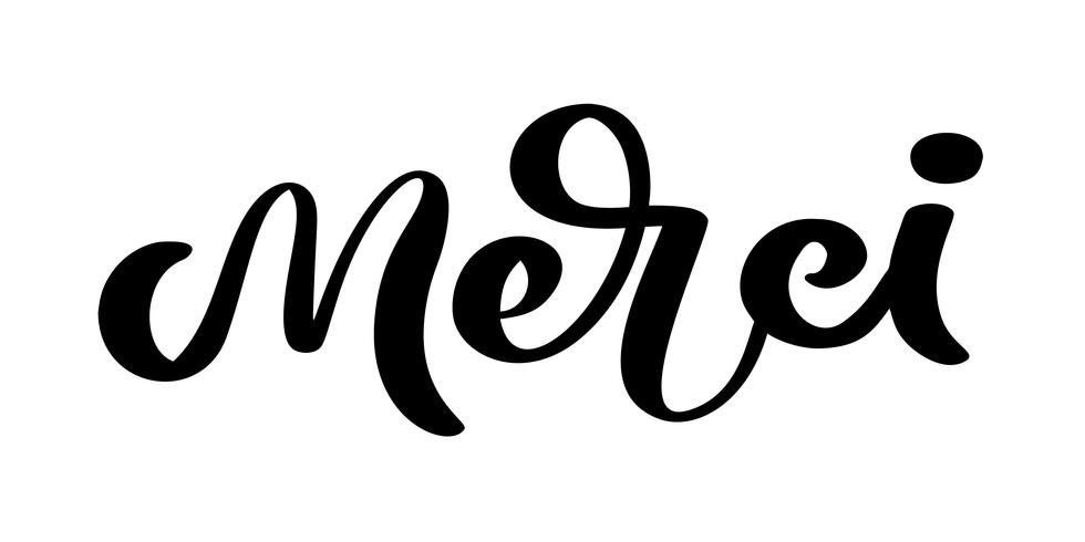 Vector hand getrokken belettering Merci. Elegante moderne handgeschreven kalligrafie met dankbaar citaat op Frans. Bedankt inkt illustratie. Typografie poster op witte achtergrond. Voor kaarten, uitnodigingen, afdrukken enz