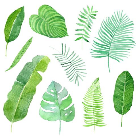 aquarel tropische bladeren instellen vector