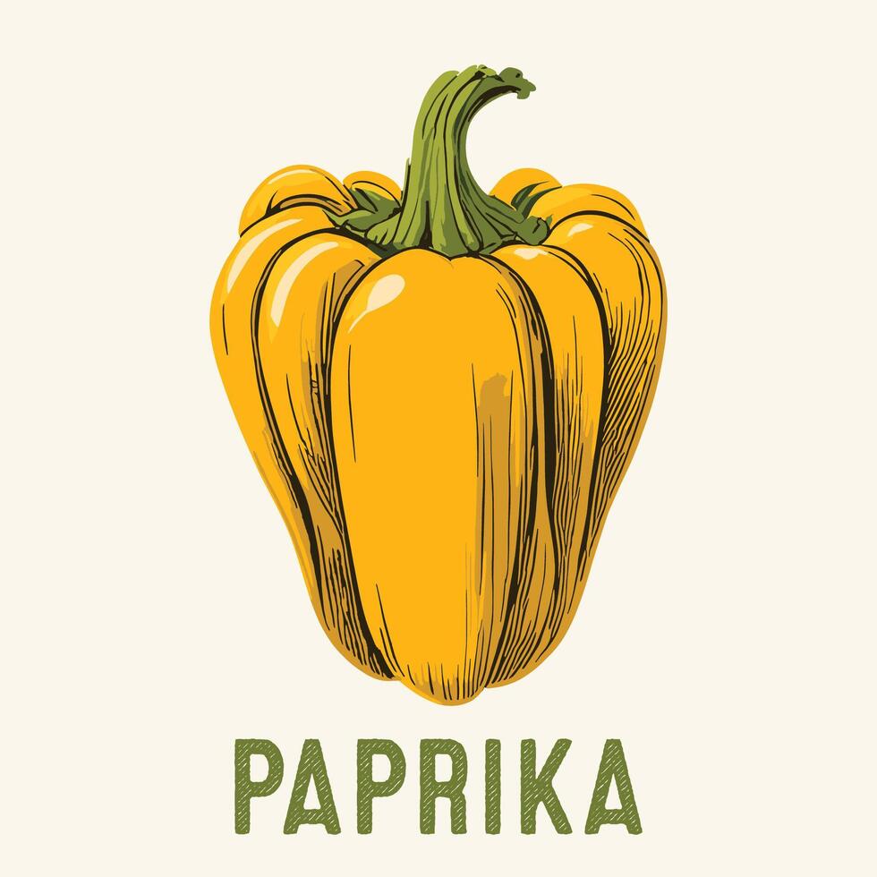 hand- getrokken paprika gegraveerde wijnoogst stijl vector