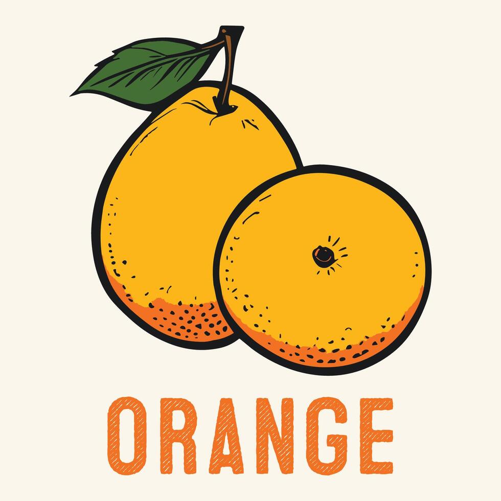 gegraveerde oranje wijnoogst hand- getrokken vector