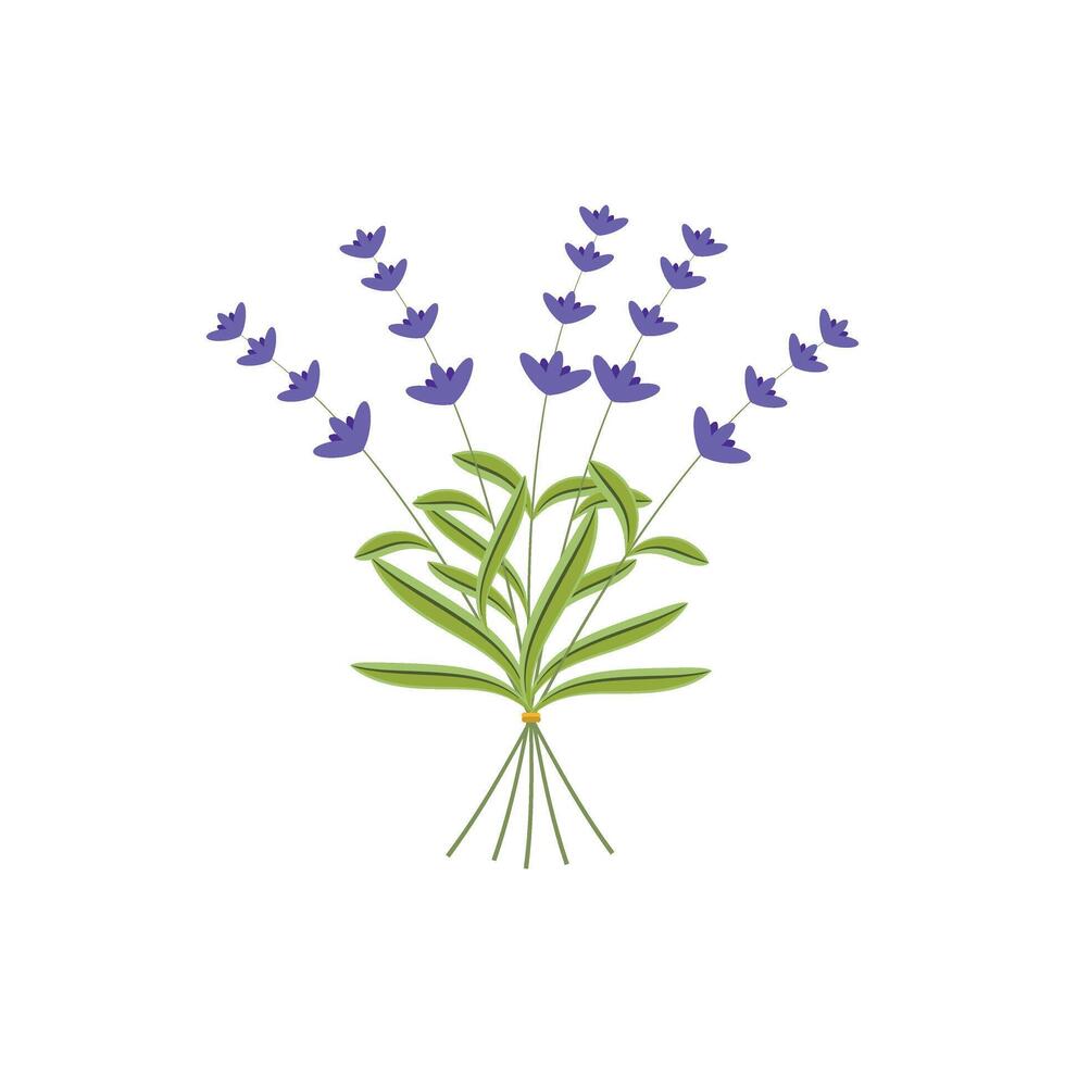 lavendel fabriek bloemen bundel icoon, geïsoleerd Aan wit achtergrond. vector illustratie