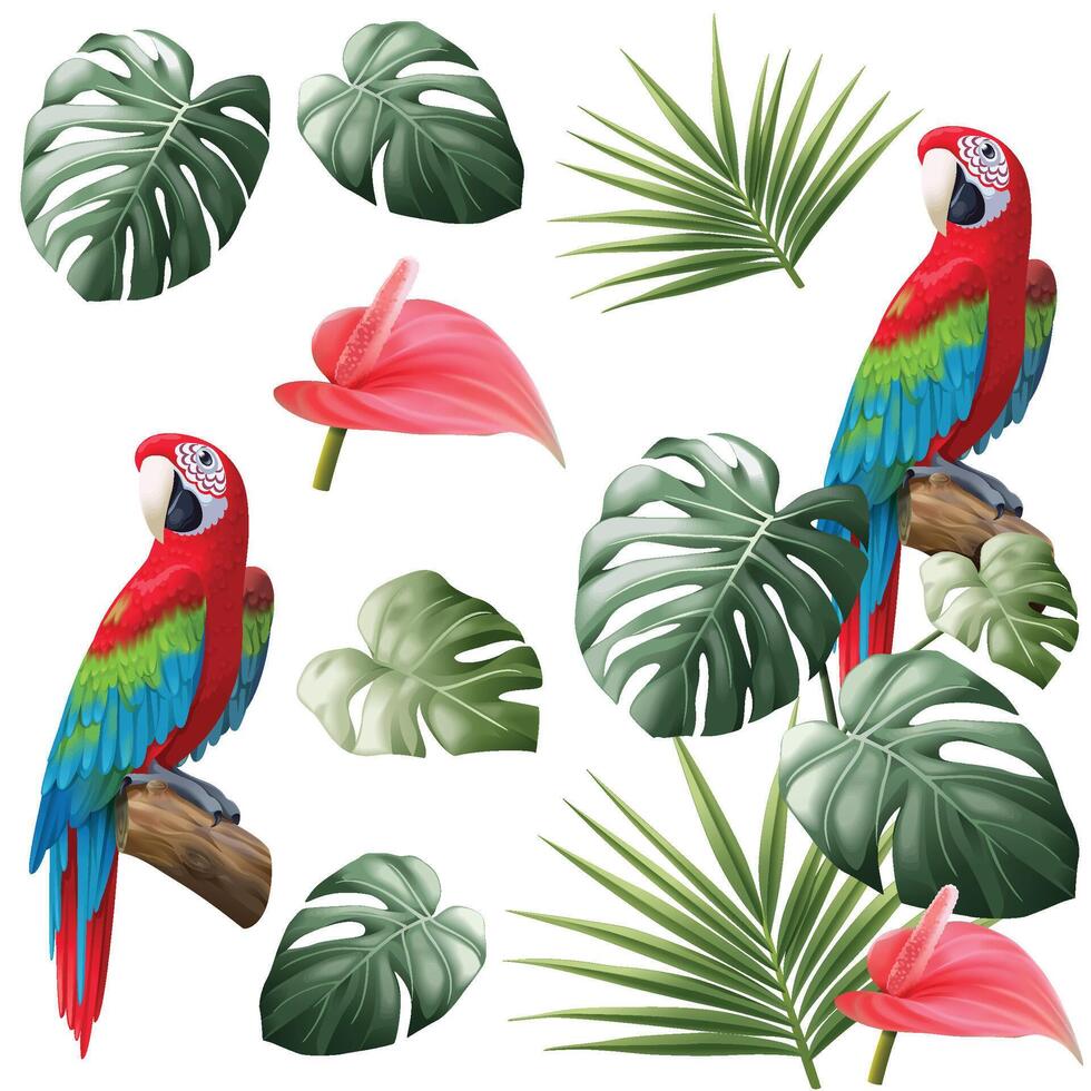 papegaai en tropisch vertrekken geïsoleerd vector