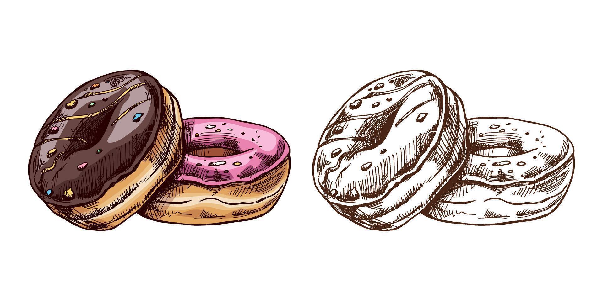 een hand getekend gekleurde en monochroom schetsen van donuts. wijnoogst illustratie. gebakje snoepgoed, nagerecht. element voor de ontwerp van etiketten, verpakking en ansichtkaarten. vector