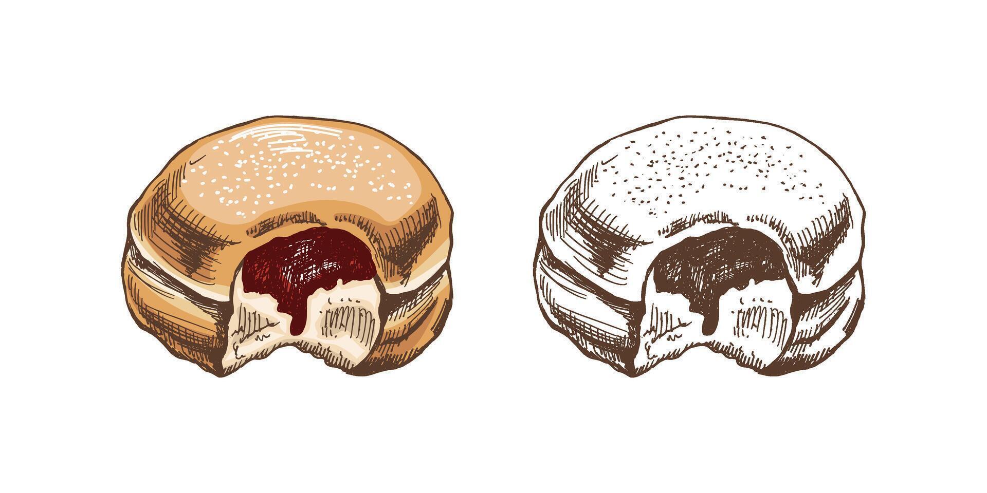 traditioneel Duitse Pools donut met jam, afgestoft. wijnoogst gekleurde en monochroom illustratie. gebakje snoepgoed, nagerecht. element voor de ontwerp van etiketten, verpakking en ansichtkaarten. vector