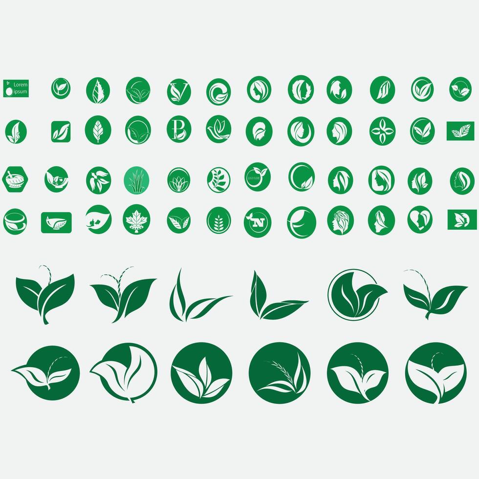 vector beeld illustratie van een verzameling van blad logos