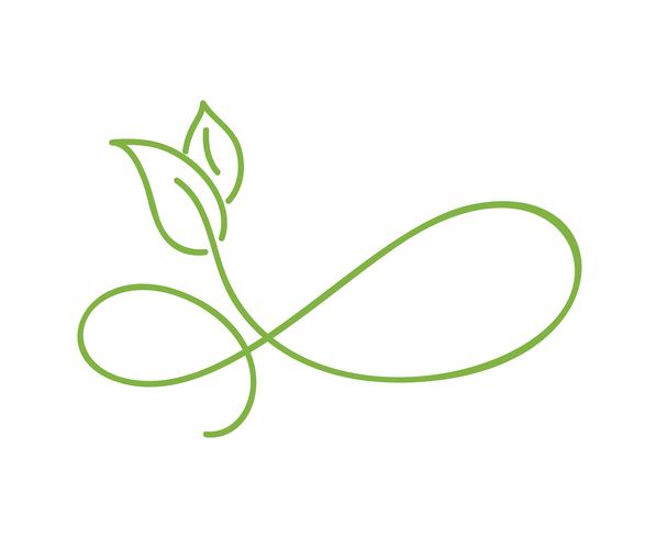 Groene monoline kalligrafie logo van groene blad ecologie vectorelement. Divider of hoek ontwerp voor bruiloft en Valentijnsdag, verjaardag wenskaart en web, eco pictogram vector