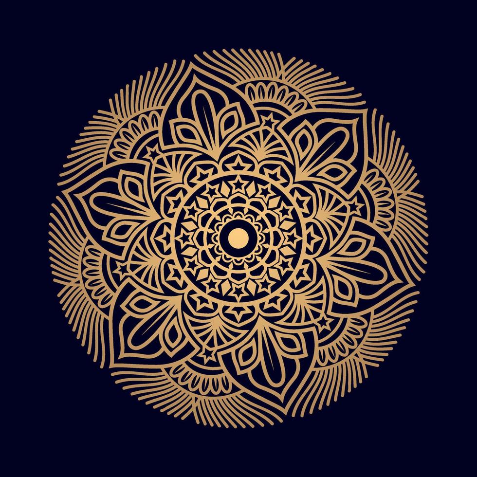 artistiek ster abstract mandala-ontwerp vector