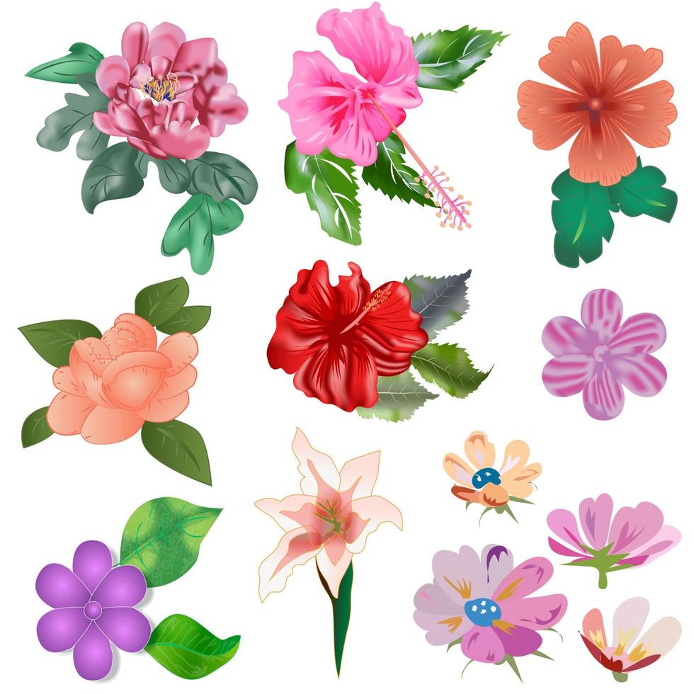 bloem set vector illustratie
