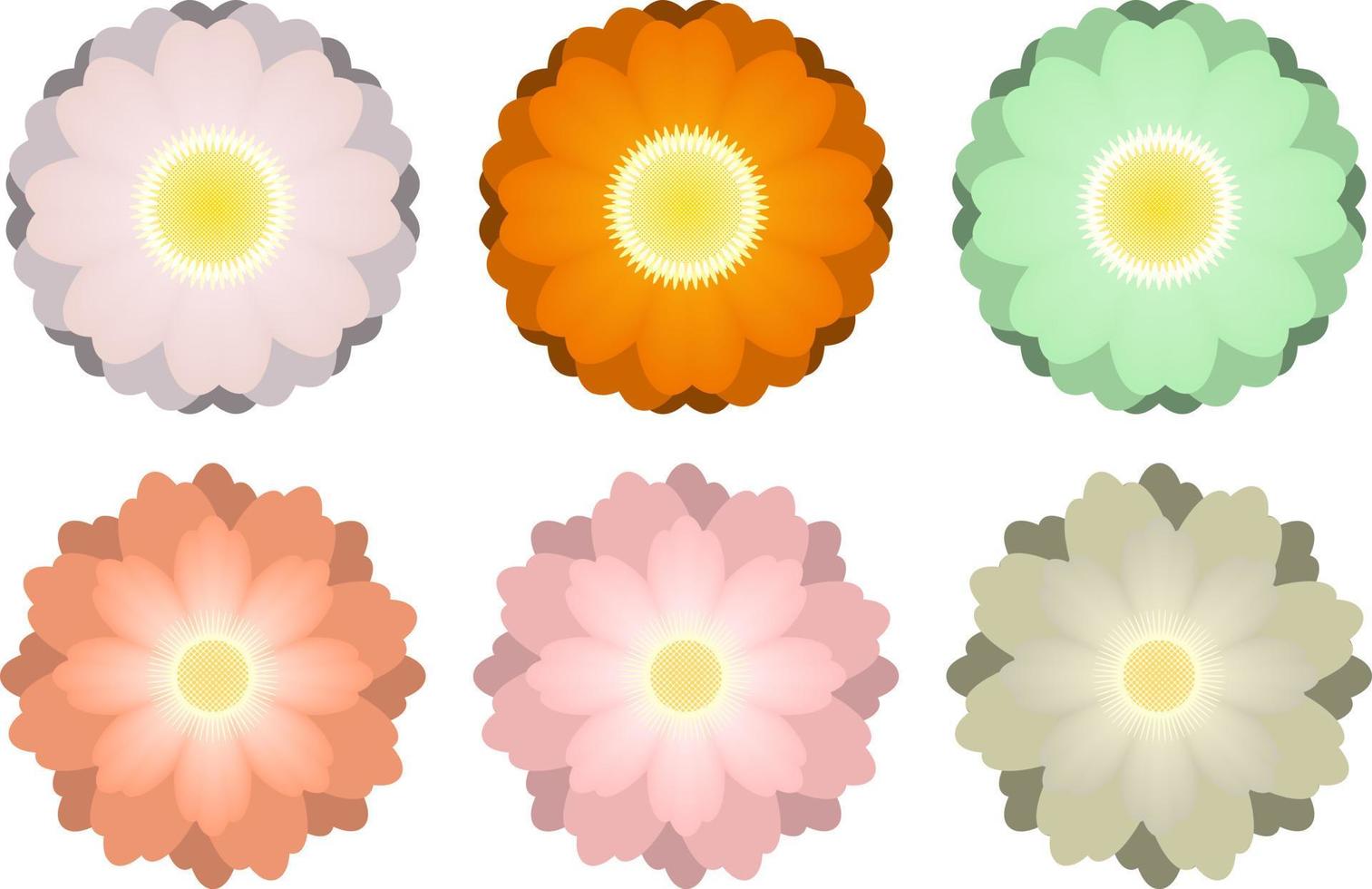 kleurrijke bloem geïsoleerd op een witte achtergrond vector