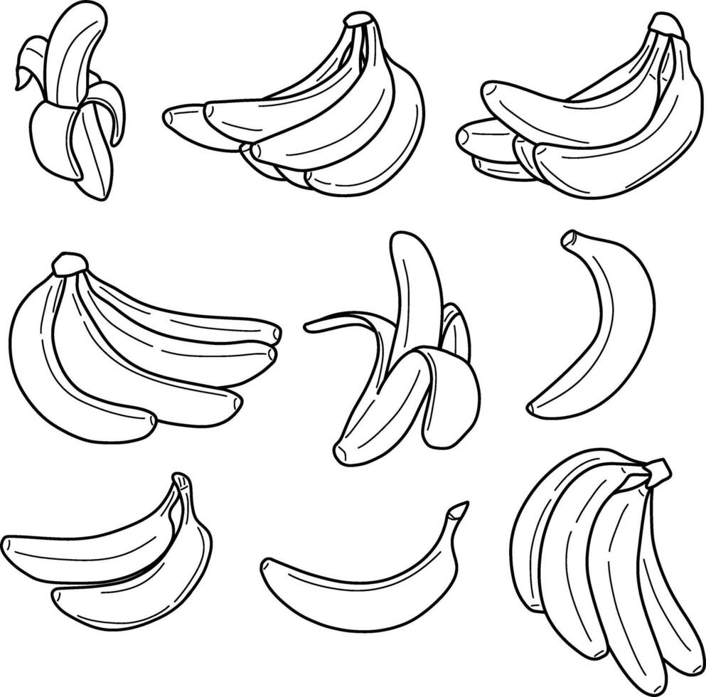 banaan fruit schets vector