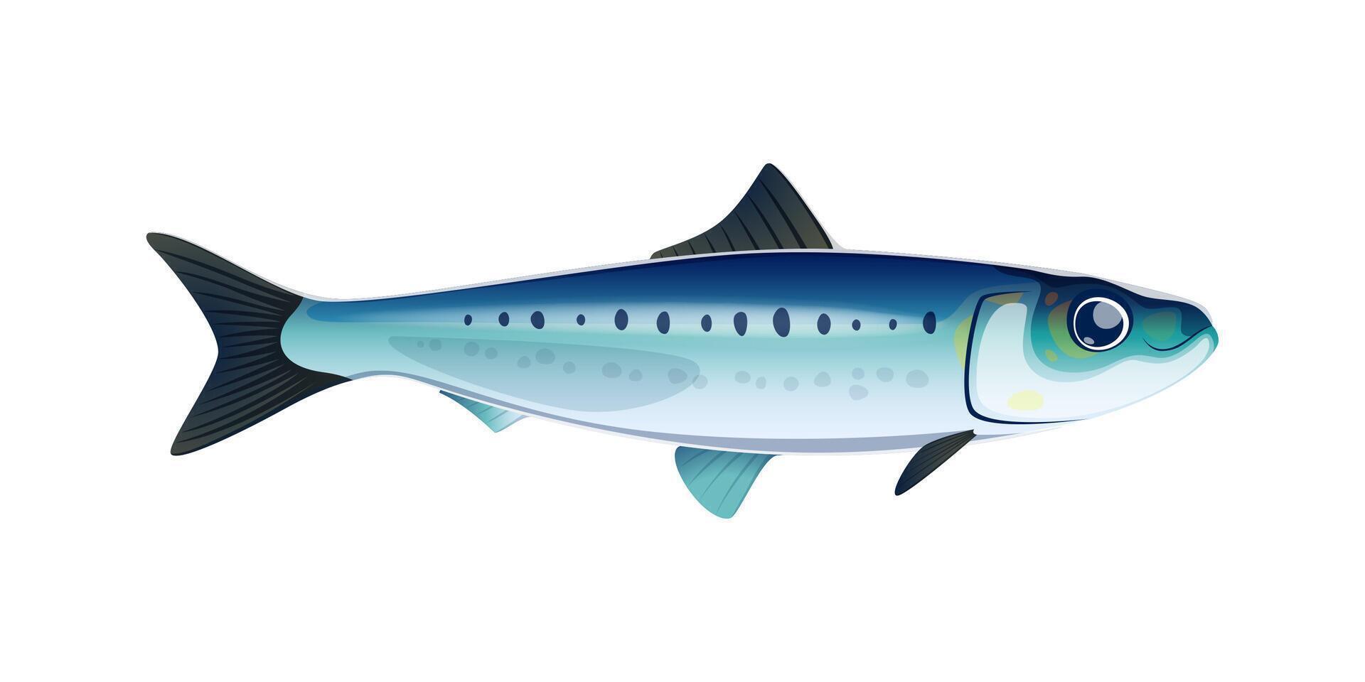 tekenfilm sardine vis geïsoleerd schattig karakter vector