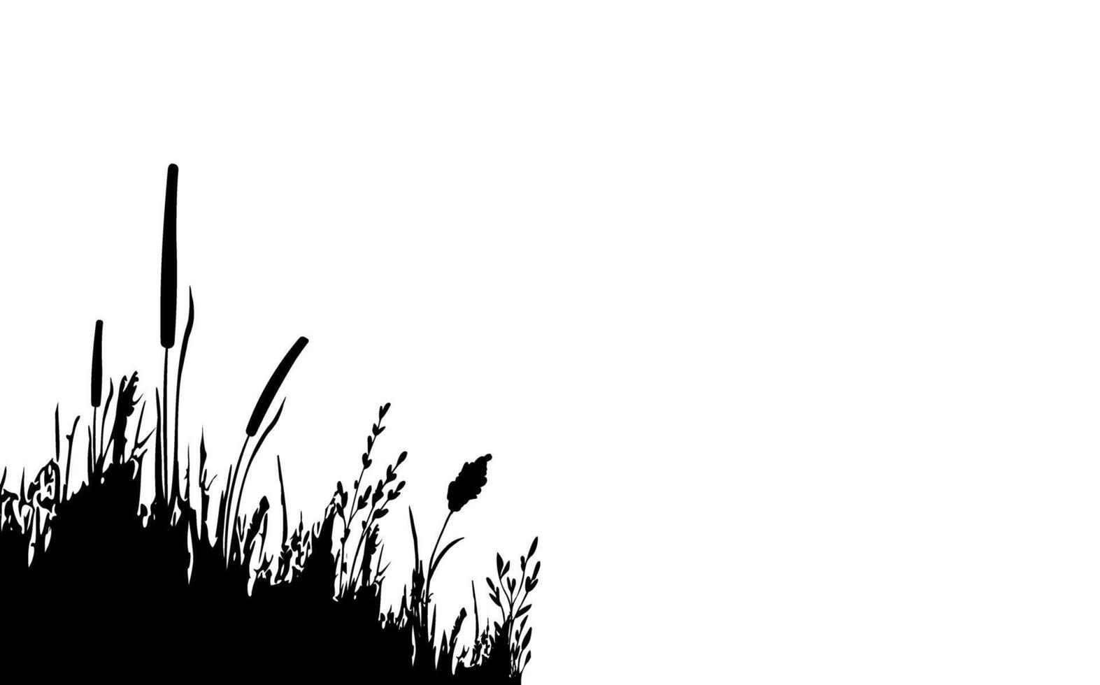 beeld van een monochroom riet, gras of biezen Aan een wit background.isolated vector tekening.zwart gras grafisch silhouet.