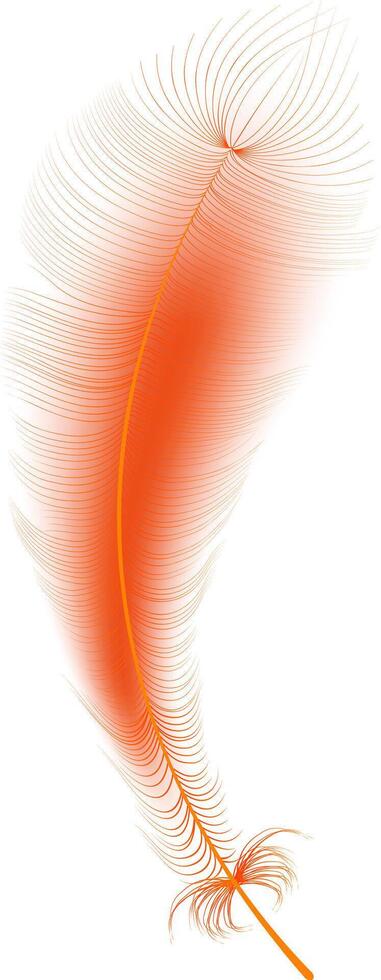 reeks van realistisch vector gans of zwaan veren van divers vormen. ecologisch veer vulmiddel voor kussens, dekens of jassen.vector concept ontwerp, lijn kunst.