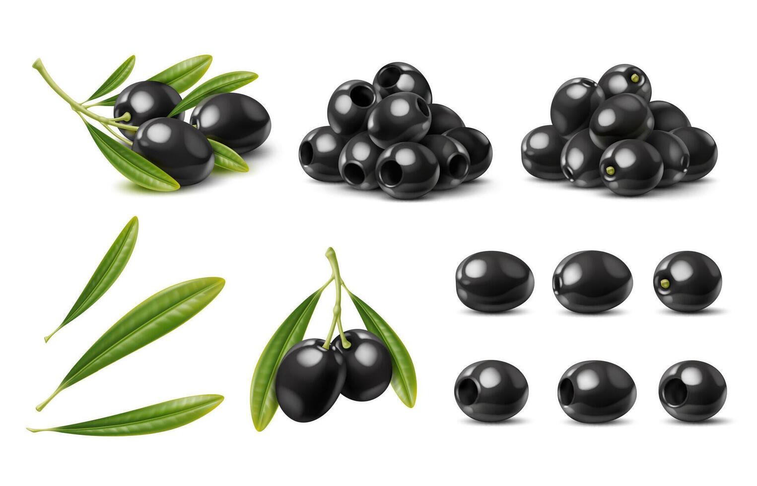 realistisch zwart olijven, geïsoleerd olijf- met bladeren vector