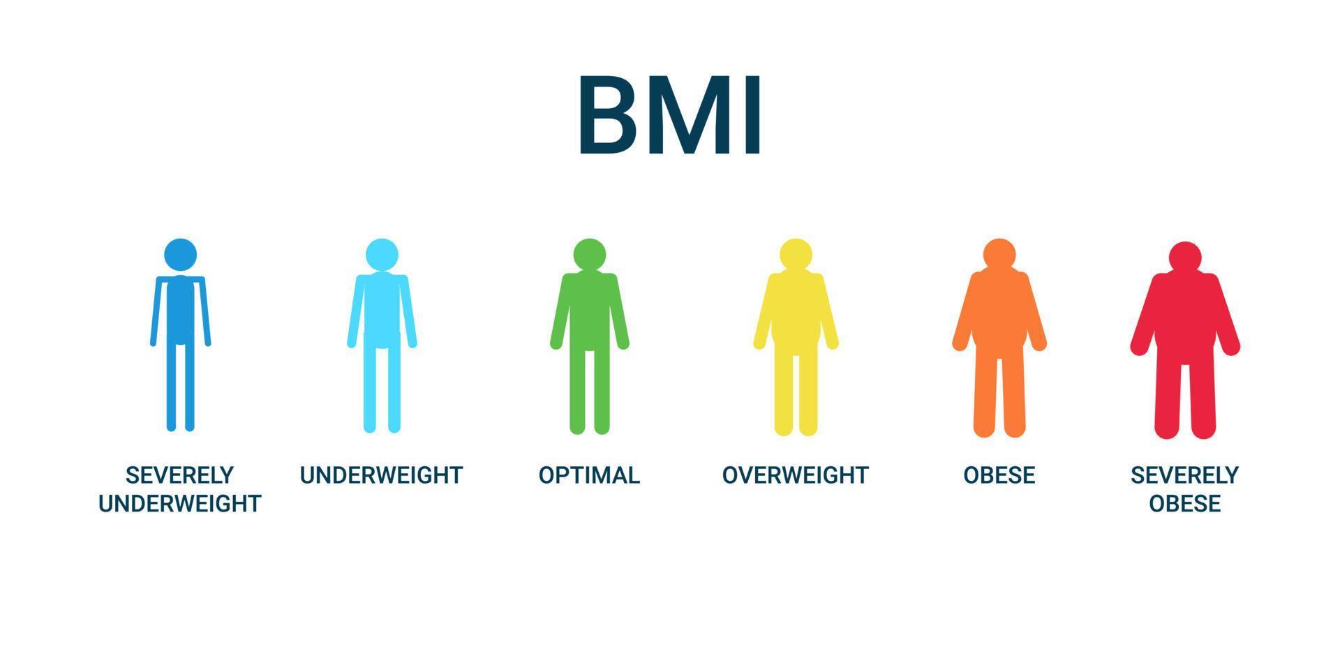 bmi categorieën grafiek, body mass index en schaal massa mensen. ernstig ondergewicht, ondergewicht, optimaal, overgewicht, zwaarlijvig, ernstig zwaarlijvig grafiekcontrole gezondheid. vector illustratie