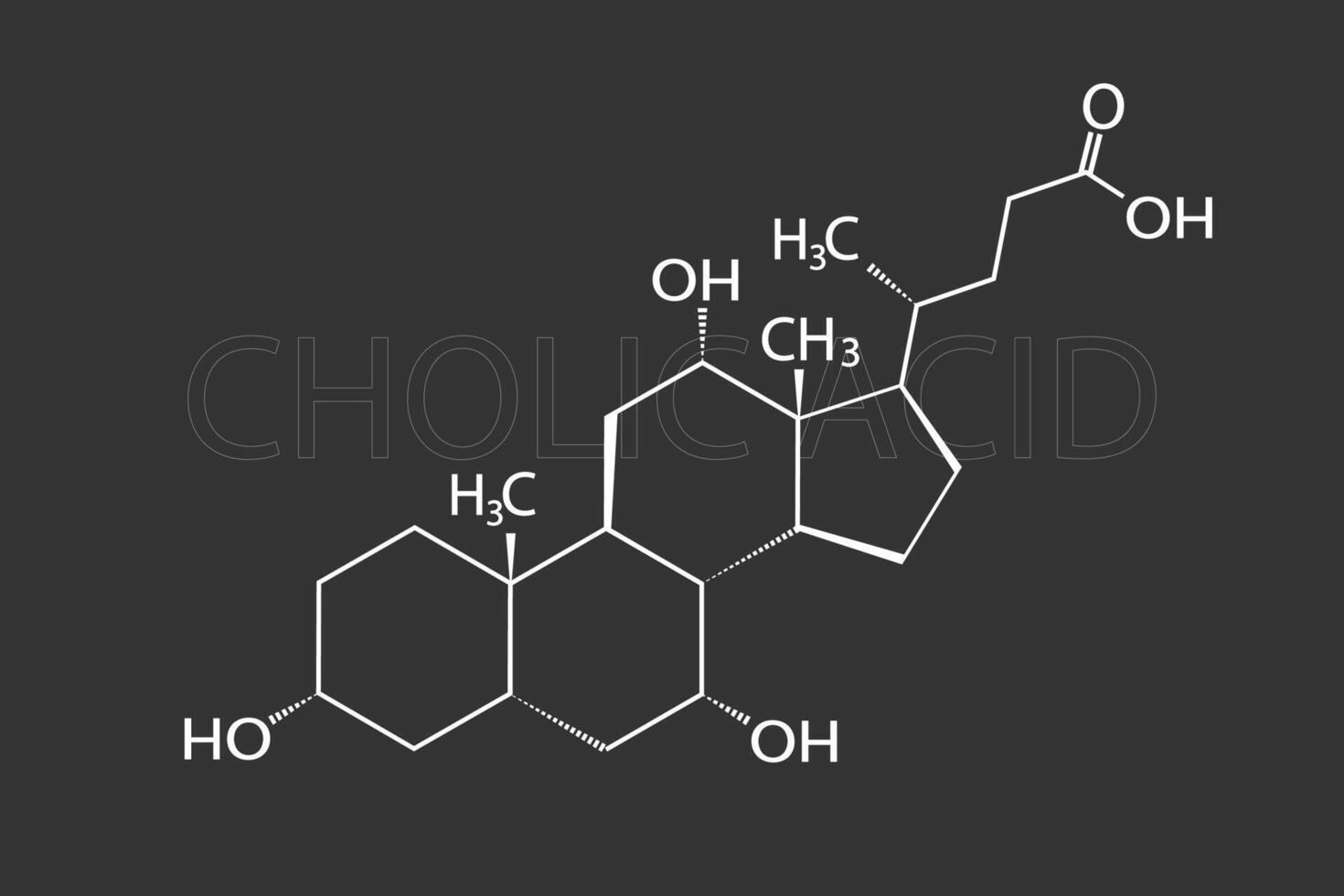 cholic zuur moleculair skelet- chemisch formule vector
