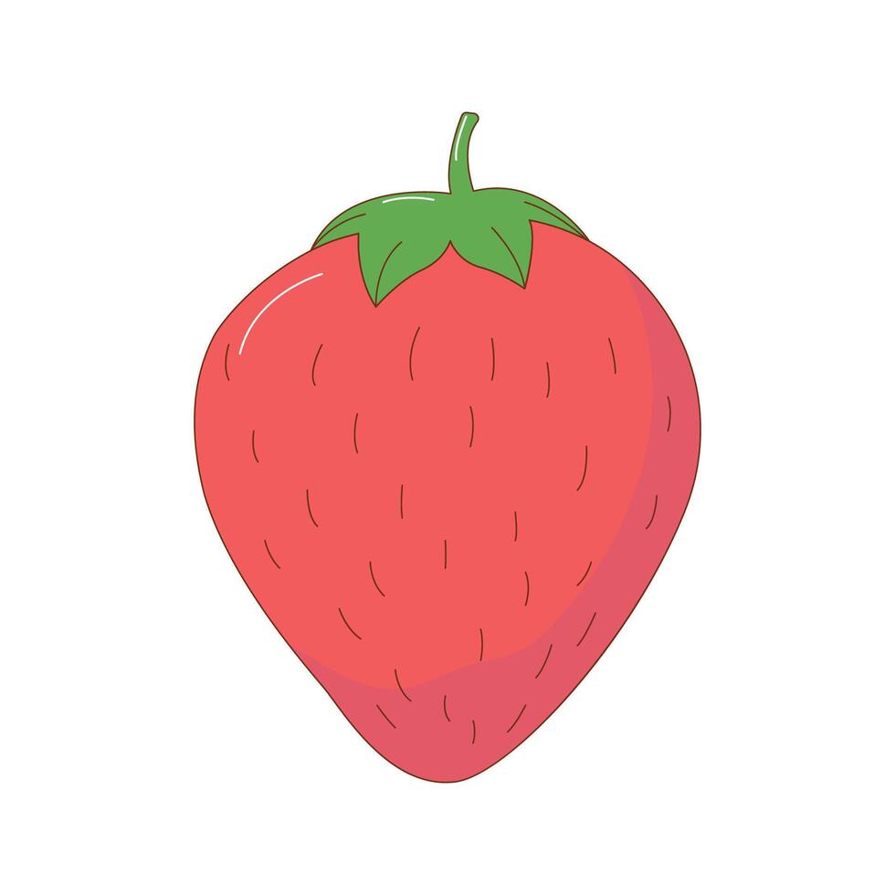 hand- getrokken aardbei fruit vector illustratie. creatief hand- getrokken fruit vector element ontwerp