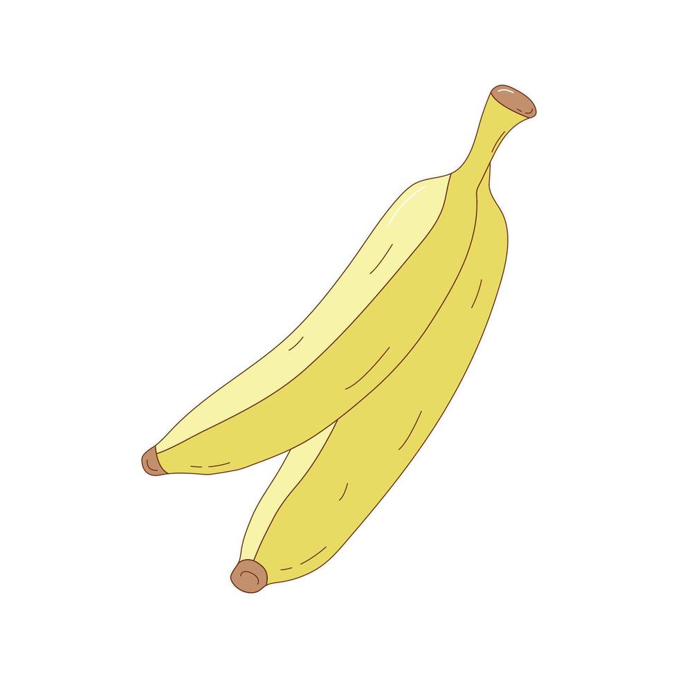 hand- getrokken banaan fruit vector illustratie. creatief hand- getrokken fruit vector element ontwerp