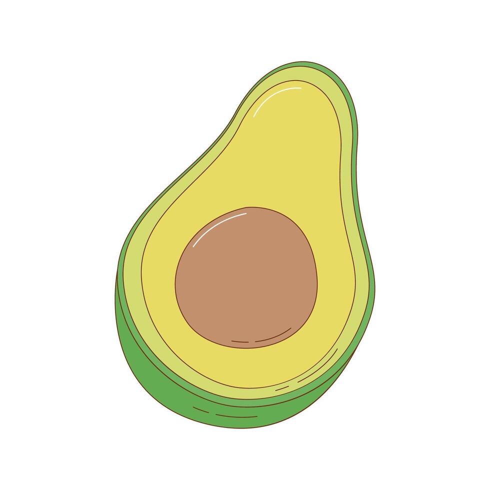 hand- getrokken avocado fruit vector illustratie. creatief hand- getrokken fruit vector element ontwerp