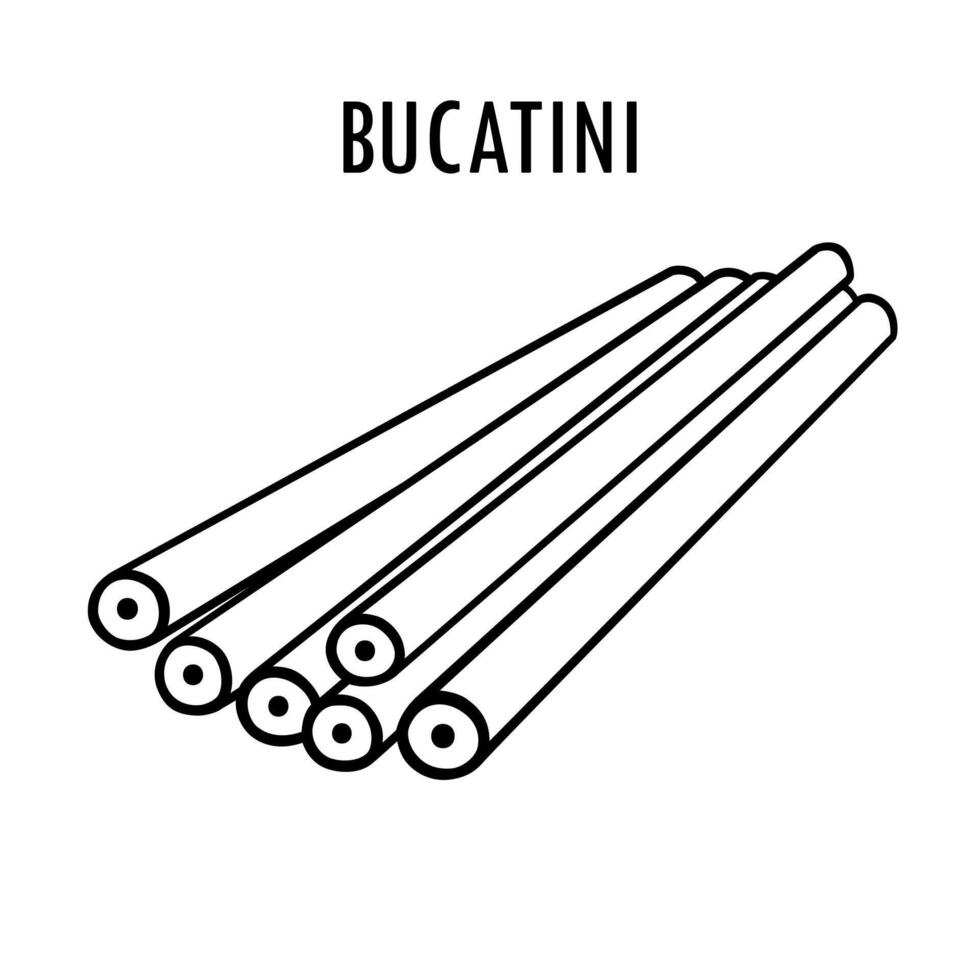 bucatini pasta tekening voedsel illustratie. hand- getrokken grafisch afdrukken van lang macaroni type van bucate pasta. vector lijn kunst voedsel ingrediënt van Italiaans keuken