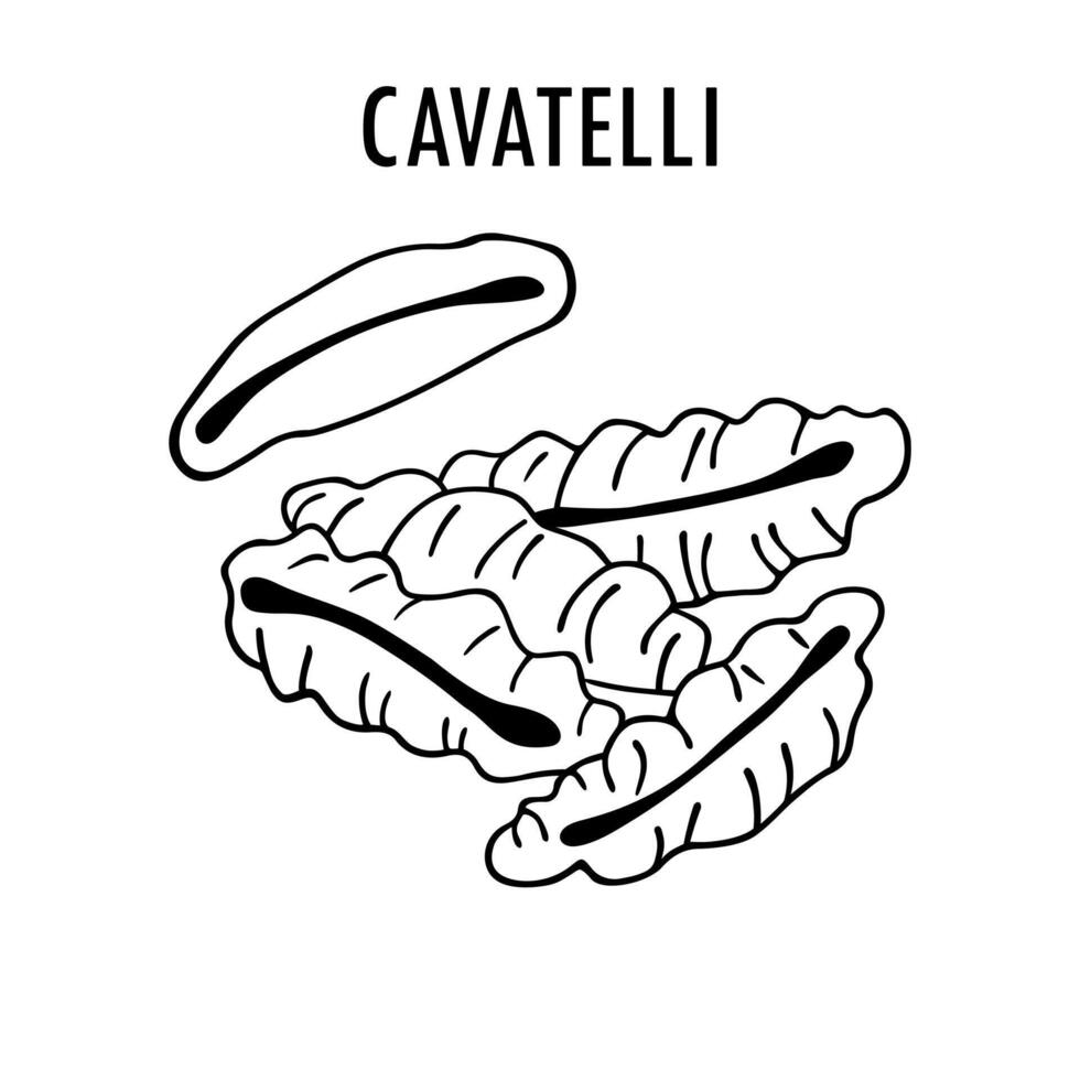 cavatelli pasta tekening voedsel illustratie. hand- getrokken grafisch afdrukken van kort macaroni type van cortecce pasta. vector lijn kunst voedsel ingrediënt van Italiaans keuken