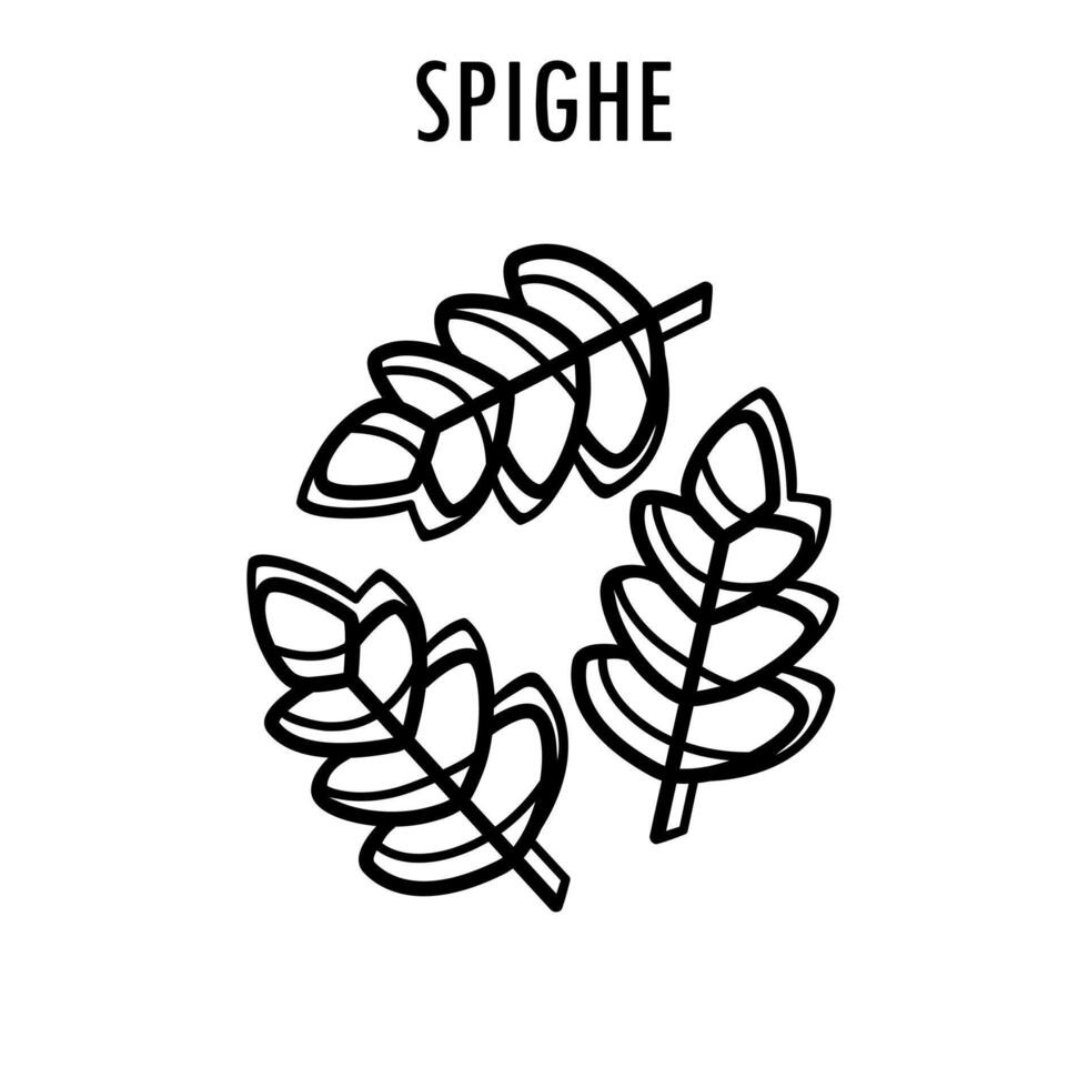 spighe pasta tekening voedsel illustratie. hand- getrokken grafisch afdrukken van kort macaroni type van pasta. vector lijn kunst voedsel ingrediënt van Italiaans keuken