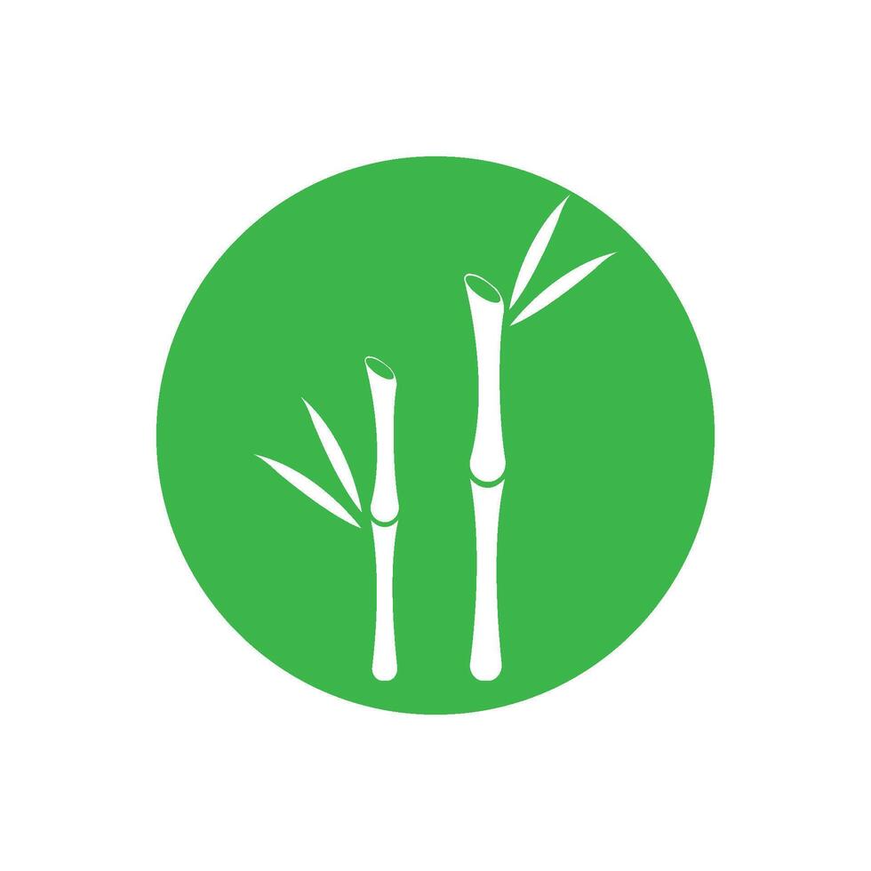 bamboe met groen blad vector