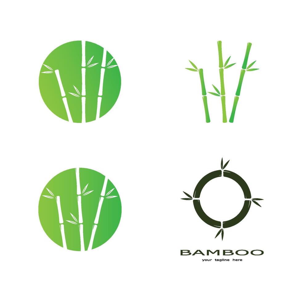 bamboe met groen blad vector