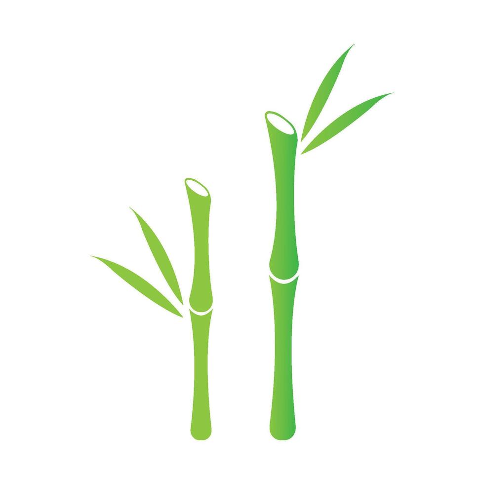 bamboe met groen blad vector