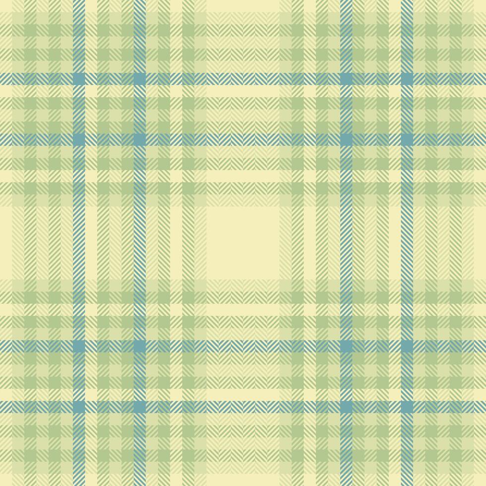 textiel ontwerp van getextureerde plaid. geruit kleding stof patroon swatch voor shirt, jurk, pak, omhulsel papier afdrukken, uitnodiging en geschenk kaart. vector