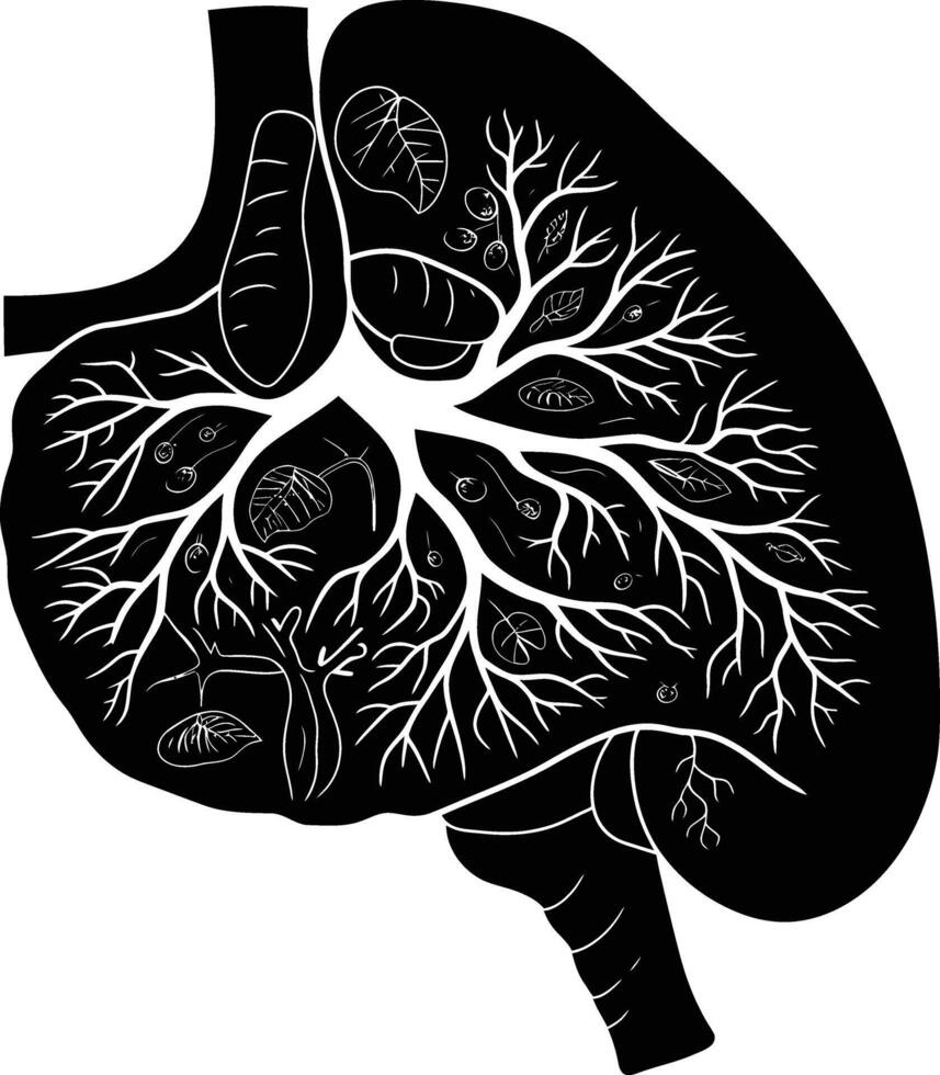 ai gegenereerd silhouet voor intern organen van lever zwart kleur enkel en alleen vector