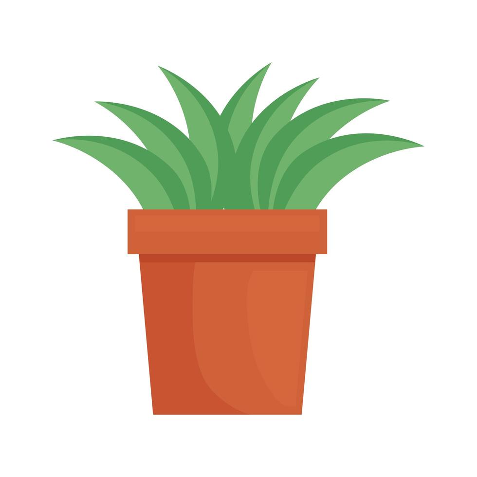 kamerplant keramische pot vector