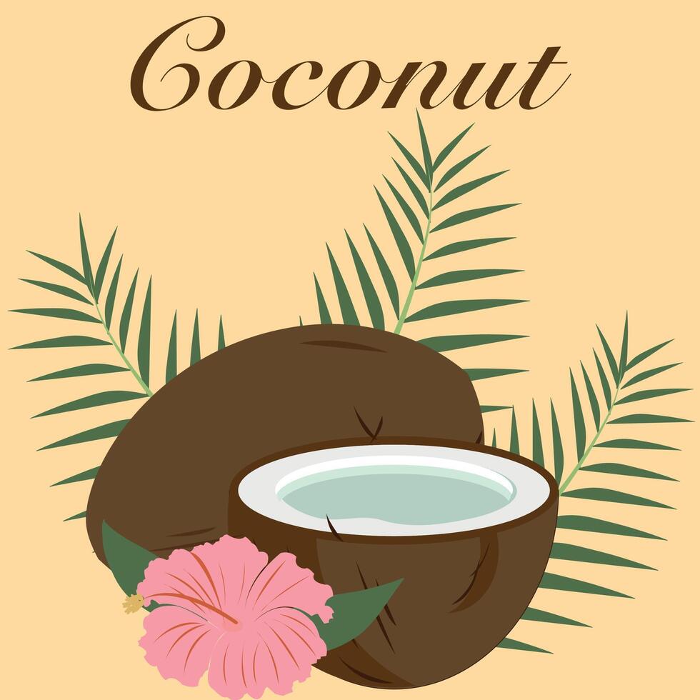 kokosnoot. zomer ontwerp voor achtergrond, banier, behang, poster. vector ontwerp van kokosnoot drankjes, kokosnoot bomen, eiland perfect voor t-shirts, logo's, sticker, enz