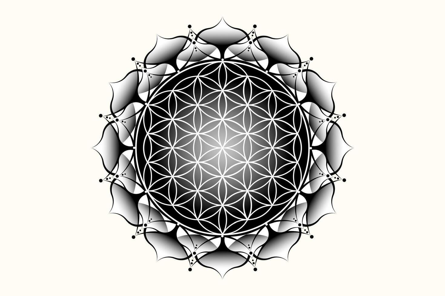 heilig lotus yantra mandala, mystiek bloem van leven. heilig geometrie, vector logo grafisch element geïsoleerd. mysticus icoon zaad van leven, meetkundig tekening teken, esoterisch lotus bloem Aan wit achtergrond