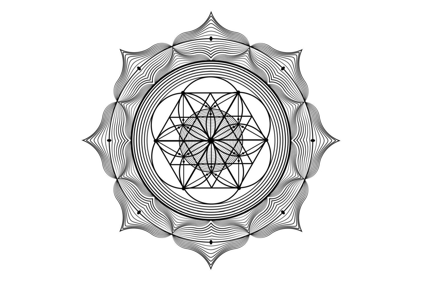 heilig lotus yantra mandala, mystiek bloem van leven. heilig geometrie, vector logo grafisch element geïsoleerd. mysticus icoon zaad van leven, meetkundig tekening teken, esoterisch lotus bloem Aan wit achtergrond