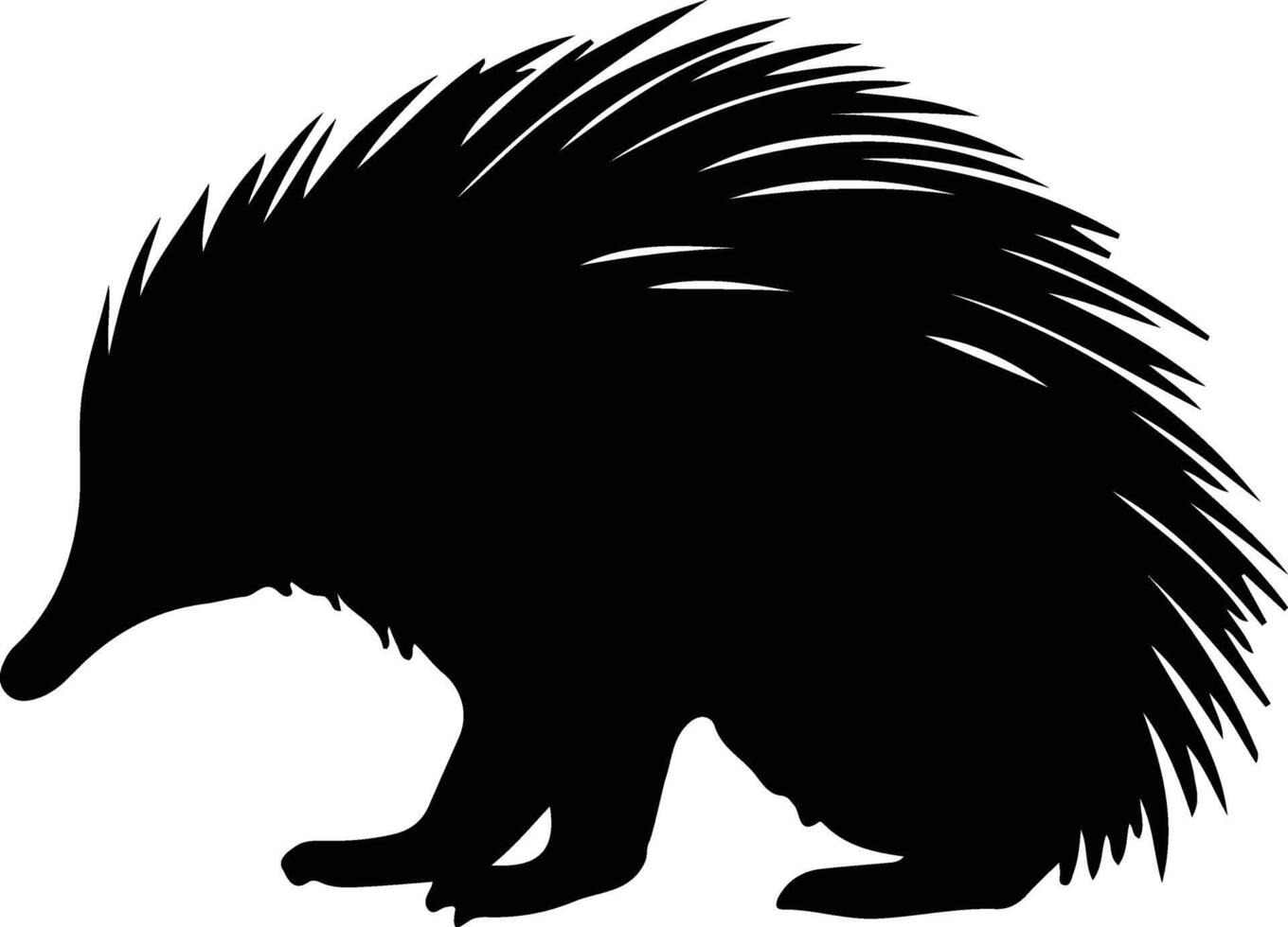 echidna zwart silhouet vector