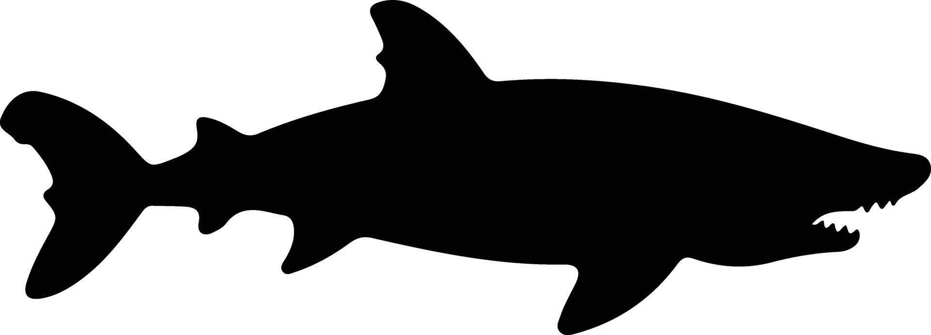 Groenland haai zwart silhouet vector