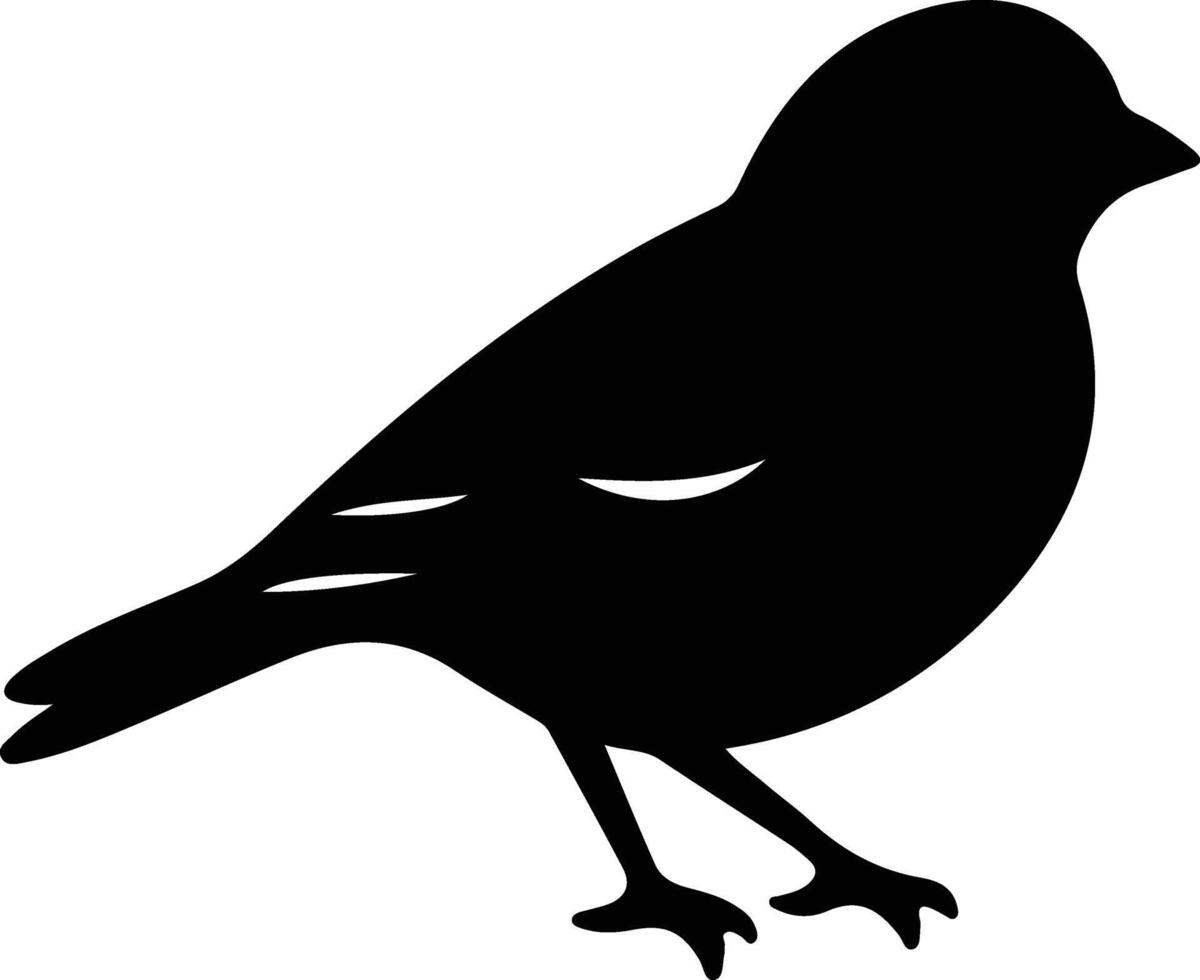 junco zwart silhouet vector