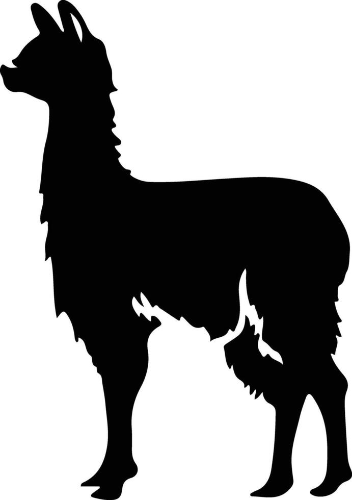 lama zwart silhouet vector