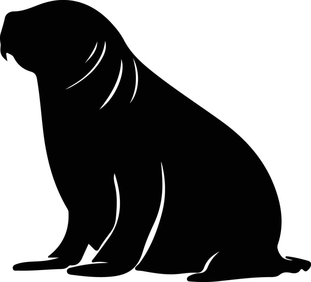 noordelijk olifant zegel zwart silhouet vector