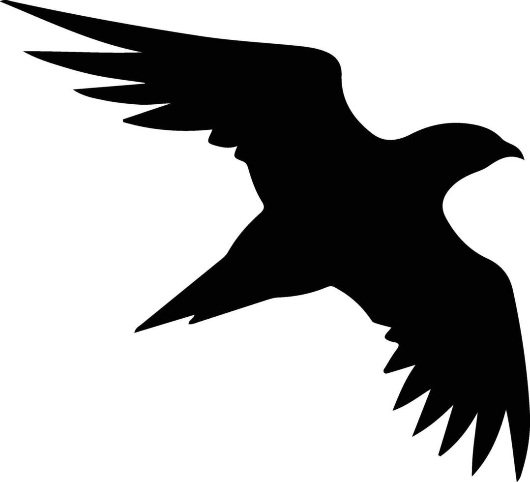 stormvogel zwart silhouet vector