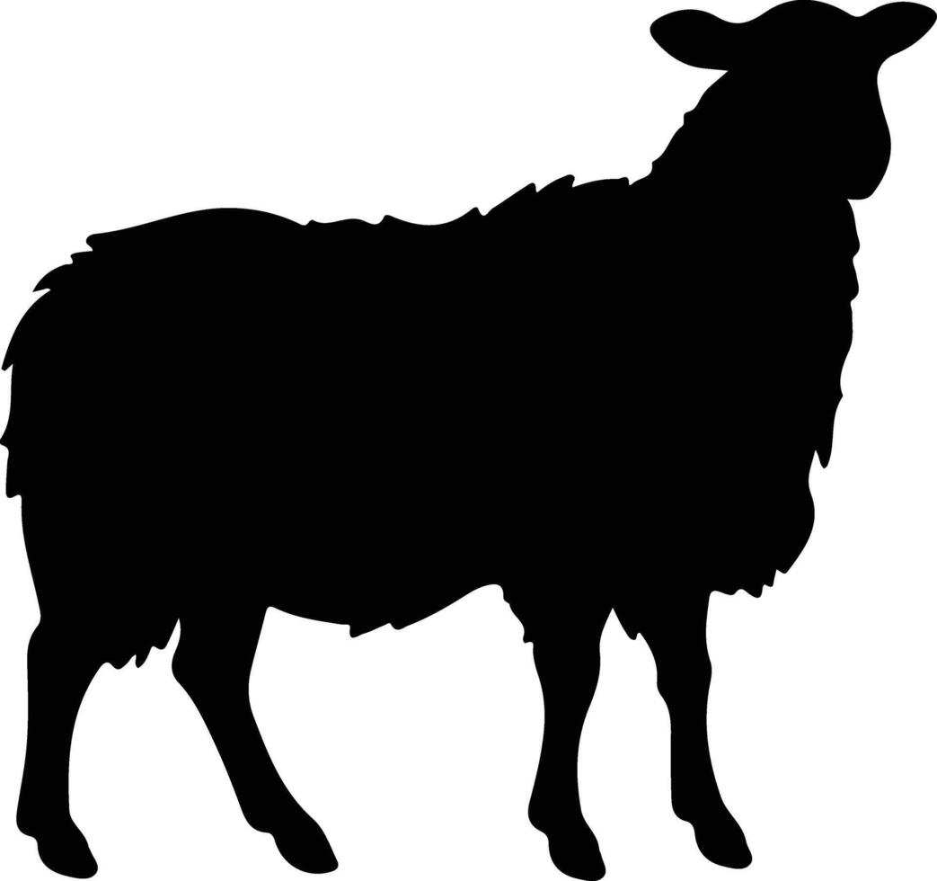 schapen zwart silhouet vector