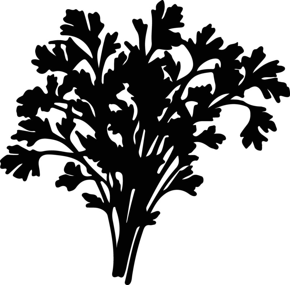 rucola zwart silhouet vector