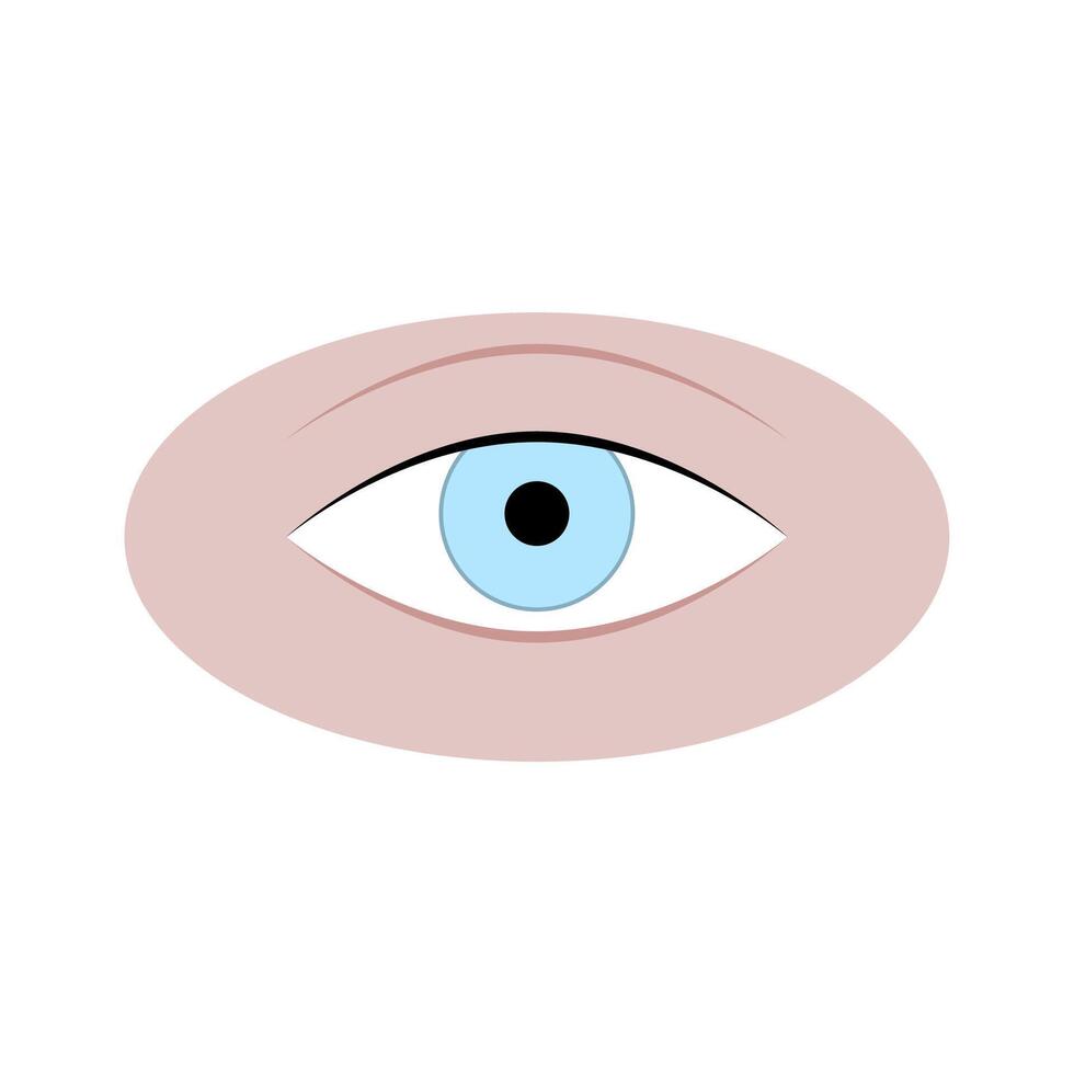 menselijk oog geïsoleerd Aan wit, oog volwassen aantrekkelijk, natuurlijk oogbol hoornvlies, zorg wetenschap of mode schoonheid. vector illustratie