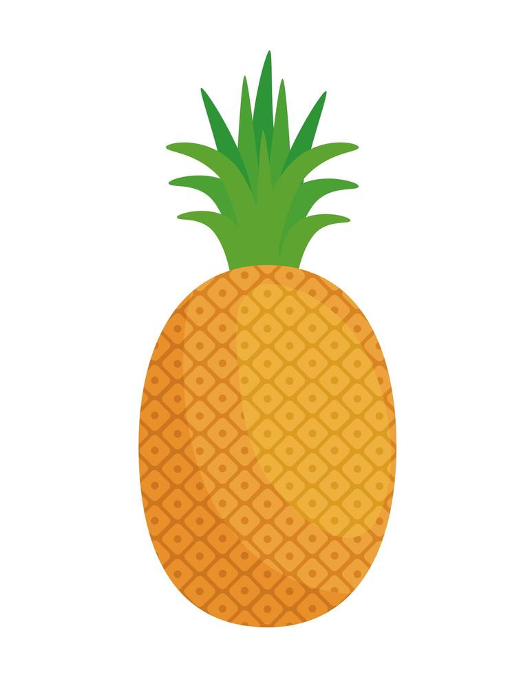 geïsoleerde ananas fruit vector