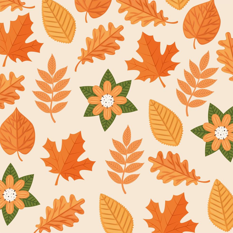 patroon van herfstbladeren vector