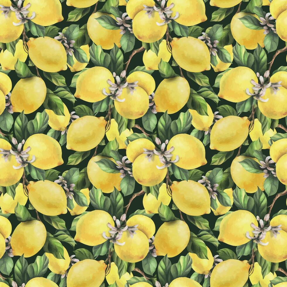 citroenen zijn geel, sappig, rijp met groen bladeren, bloem bloemknoppen Aan de takken, geheel en plakjes. waterverf, hand- getrokken botanisch illustratie. naadloos patroon Aan een donker achtergrond. vector